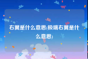 右翼是什么意思(极端右翼是什么意思)