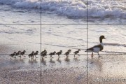 三分法构图:三分法构图是什么。为什么说三分法构图是最重要的构图法？