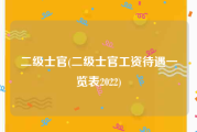 二级士官(二级士官工资待遇一览表2022)