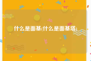什么是面基(什么是面基塔)