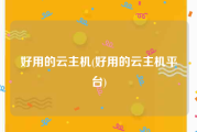 好用的云主机(好用的云主机平台)