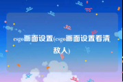 csgo画面设置(csgo画面设置看清敌人)