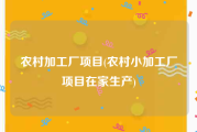 农村加工厂项目(农村小加工厂项目在家生产)