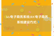 b2c电子商务系统(B2C电子商务系统建设方式)