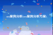 seo案例分析(seo案例分析方案)