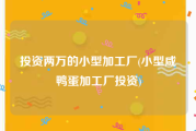 投资两万的小型加工厂(小型咸鸭蛋加工厂投资)