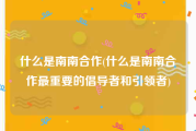 什么是南南合作(什么是南南合作最重要的倡导者和引领者)
