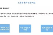 二类电商是什么意思(二类电商是什么意思例如哪些平台)