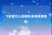 飞机票怎么退票啊(机票退票查询)