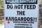 feed是什么意思:don't feed the animals，中文是啥意思？