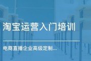 淘宝运营公司(淘宝运营公司是真的吗)