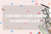 左翼右翼是什么意思(左倾错误和右倾错误是什么意思)
