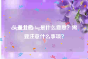 vlog是什么:头条上的vlog是什么意思？需要注意什么事项？