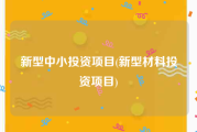 新型中小投资项目(新型材料投资项目)