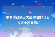 小本创业项目大全(创业好项目投资小利润高)