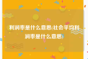 利润率是什么意思(社会平均利润率是什么意思)