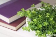 恶意评价:面对恶意评论，你是怎么应对的？