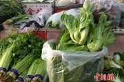 蔬菜销售(蔬菜销售属于什么经营范围)