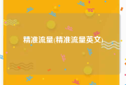 精准流量(精准流量英文)