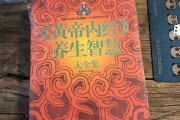 黄帝内经养生智慧(黄帝内经养生智慧大全集 春之霖)
