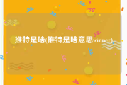 推特是啥(推特是啥意思winner)