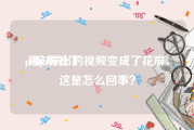 pr破解补丁:用pr导出的视频变成了花屏，这是怎么回事？