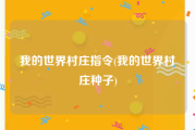 我的世界村庄指令(我的世界村庄种子)