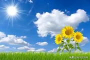 微信发消息过于频繁怎么解决:不喜欢聊天，别人总是发微信，怎么拒绝呢？