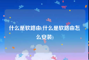 什么是软路由(什么是软路由怎么安装)
