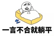 躺平什么意思(最近说的躺平什么意思)