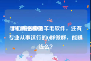手机群控赚钱:手机有各种薅羊毛软件，还有专业从事这行的Q群微群，能赚钱么？