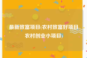 最新致富项目(农村致富好项目农村创业小项目)