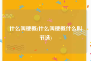 什么叫梗概(什么叫梗概什么叫节选)