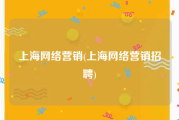 上海网络营销(上海网络营销招聘)