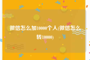 微信怎么加10000个人(微信怎么转10000)
