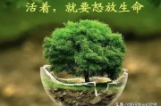 赞赏是什么意思:怎么给别人赞赏好？