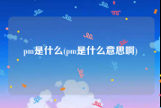 pm是什么(pm是什么意思啊)