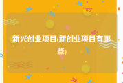 新兴创业项目(新创业项目有哪些)