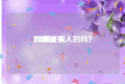 网赚骗子:网赚是骗人的吗？