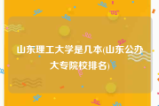 山东理工大学是几本(山东公办大专院校排名)