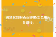 闲鱼收到的钱在哪里(怎么用闲鱼赚钱)