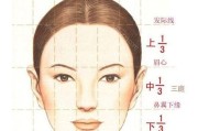面部图片(面部图片 结构图)