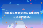 志愿服务类型(志愿服务类型的社会实践名称)