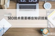 seo实战课程:新手如何学SEO？