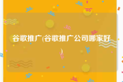 谷歌推广(谷歌推广公司哪家好)