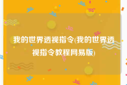 我的世界透视指令(我的世界透视指令教程网易版)