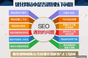 seo网络培训(seo互联网技术培训)