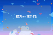 搜外seo(搜外网)