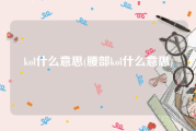kol什么意思(腰部kol什么意思)