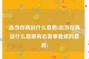 志当存高远什么意思(志当存高远什么意思有志者事竟成的意思)